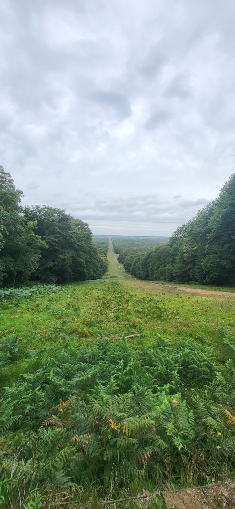les beaux monts de Compiègne, bonne rentrée à Compiègne